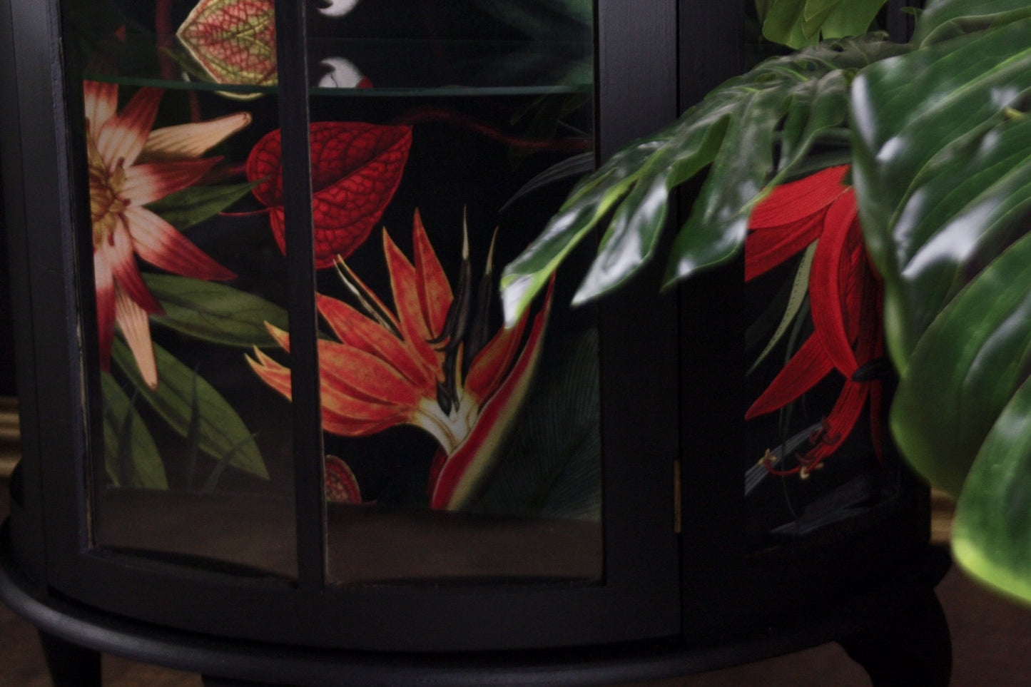 Vitrine Dark Jungle